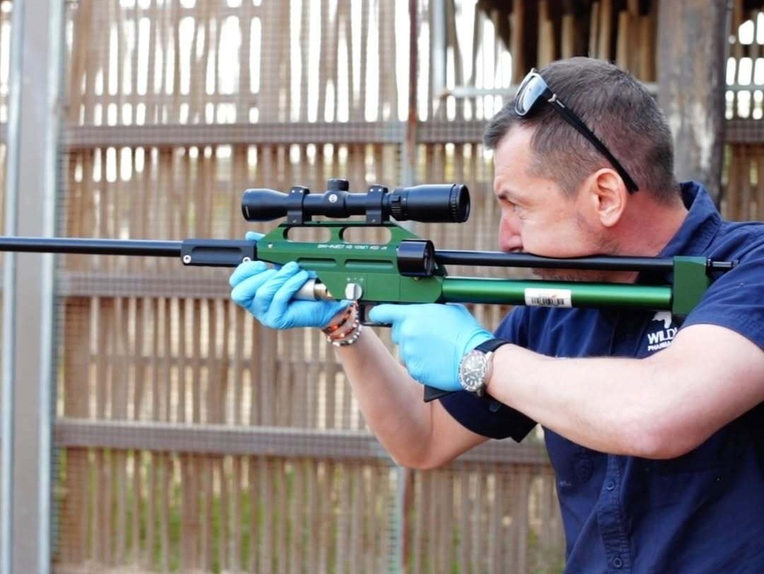 In most of cases, the delivery of anaesthetic to zoo and wild animals is possible just from the