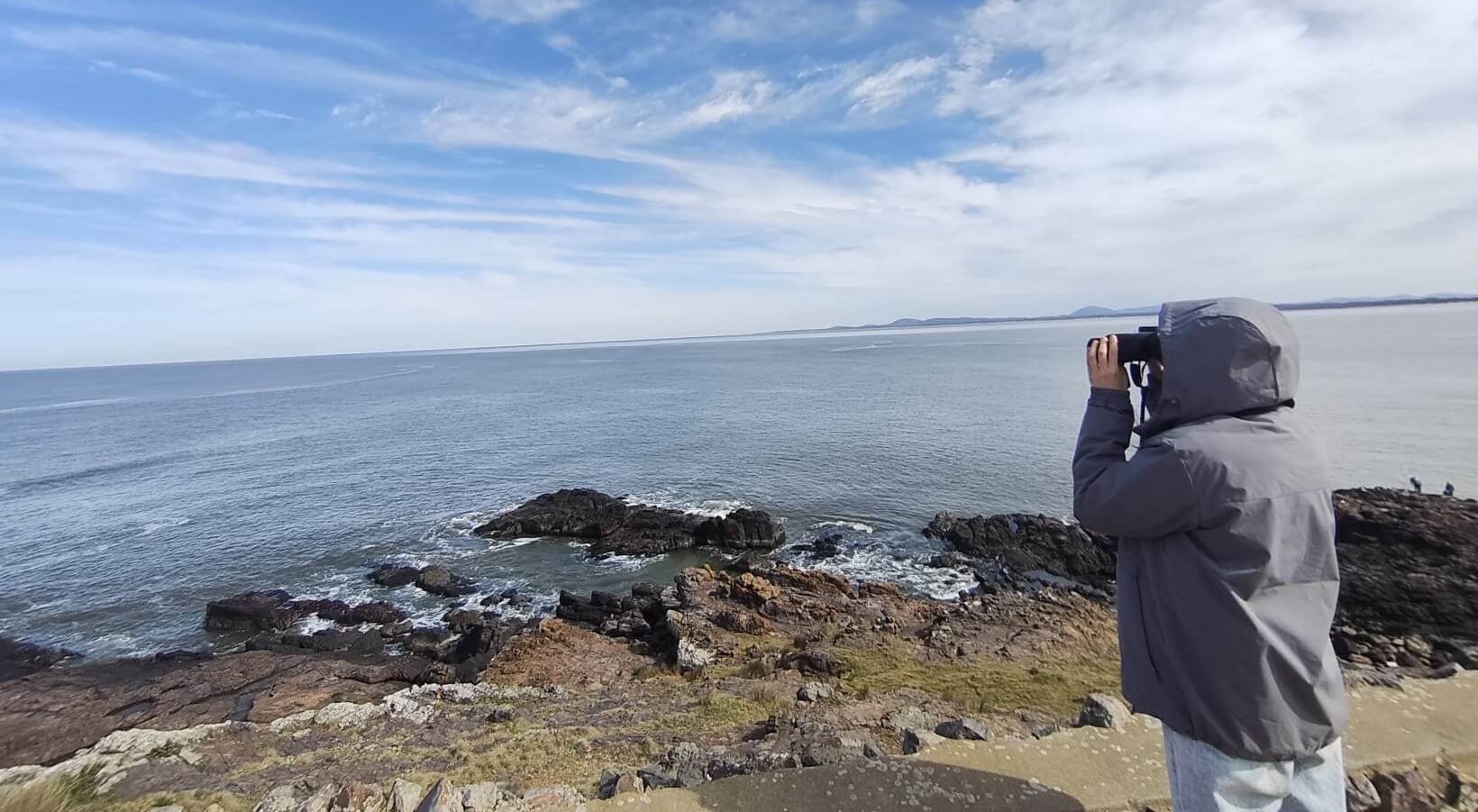 whale sighting-1
